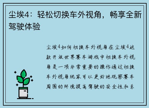 尘埃4：轻松切换车外视角，畅享全新驾驶体验