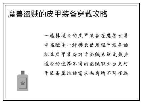 魔兽盗贼的皮甲装备穿戴攻略